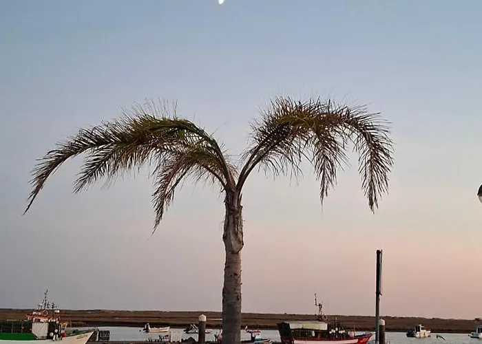 Apartamento Matilde *